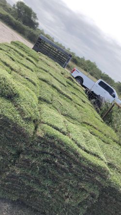Grass Pallets (Free Delivery)