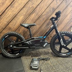 16 E Drive Brushless / 