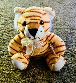 Tiger Stuff Animal