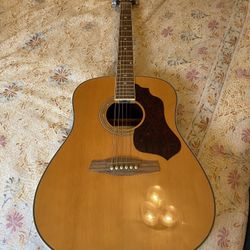 Ibanez Acoustic Guitar