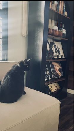 Arched Bookshelf