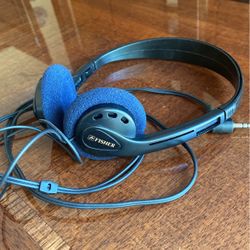 Fisher black music headphones