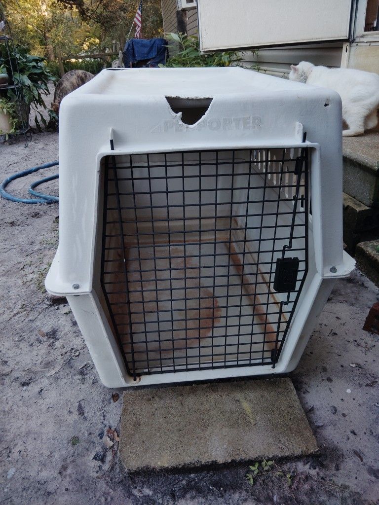 Dog Cage 