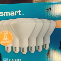 Ecosmart 65 Watt's Soft White I Have 3 Sets