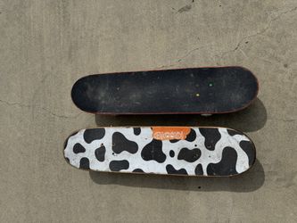 Skateboards Darkstar Crooked Signed Completes 