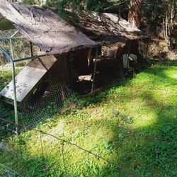 10 X20 Shelter With 2 Chicken Coops