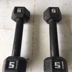 Pair Of 5 Lb Dumbbells 