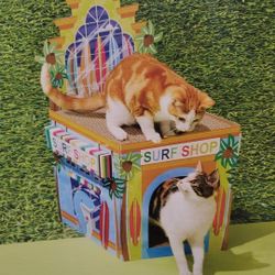 Surf Shop Cat Scratcher

$14 FIRM Each

Many Available