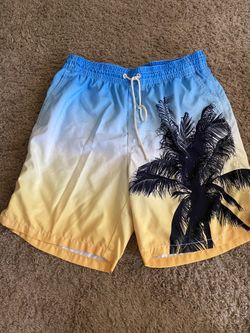 Boys Swim Short