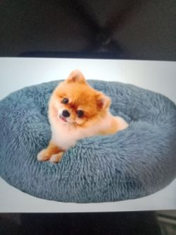 DOG BED
