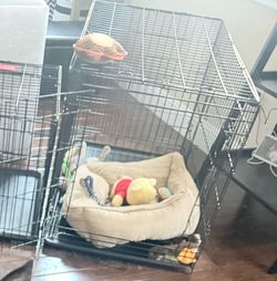 Medium sized kennel.