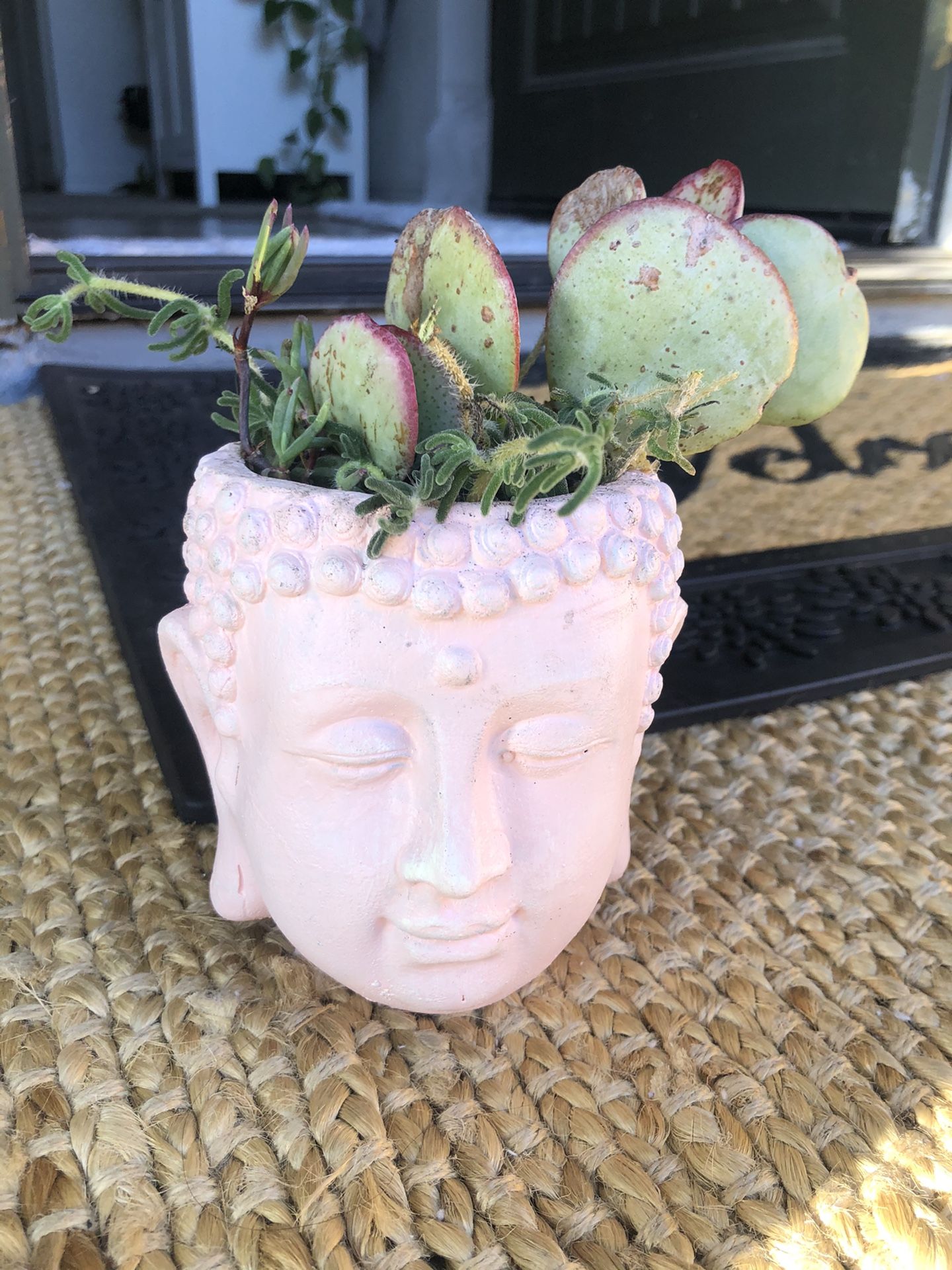 Buddha head with succulent arrangement