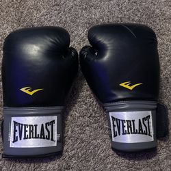Everlast Boxinh Gloves 