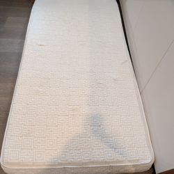 6" Donlop Latex Twin Mattress