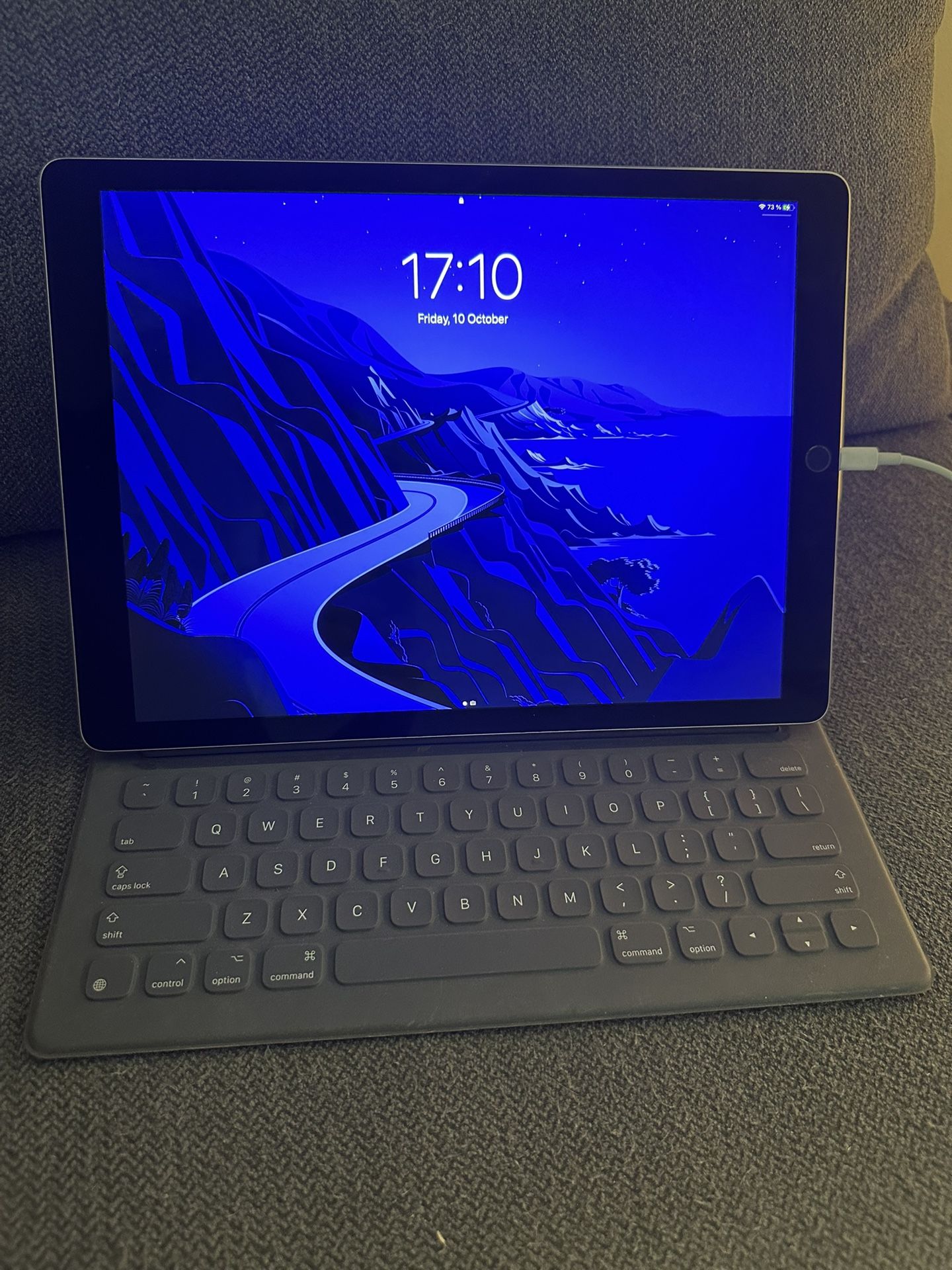 iPad Pro 12.9 inch 2nd generation 256 GB