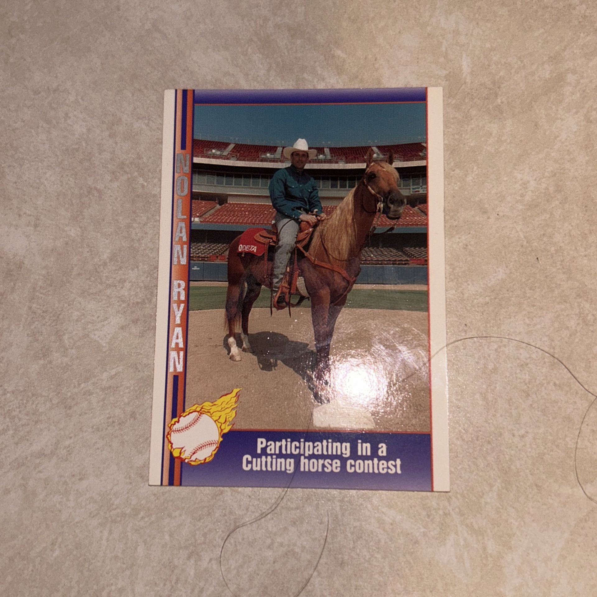 Baseball Cards 1991