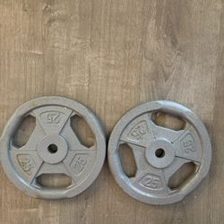 Two 25 Lb Weights