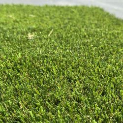 Artificial Grass Remnant 