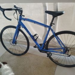 FUJI Sportif LE  2.0 Carbon Fork