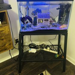 20 Gallon Aquarium & Stand