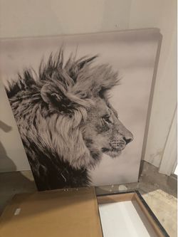 Wall decor, Canvases