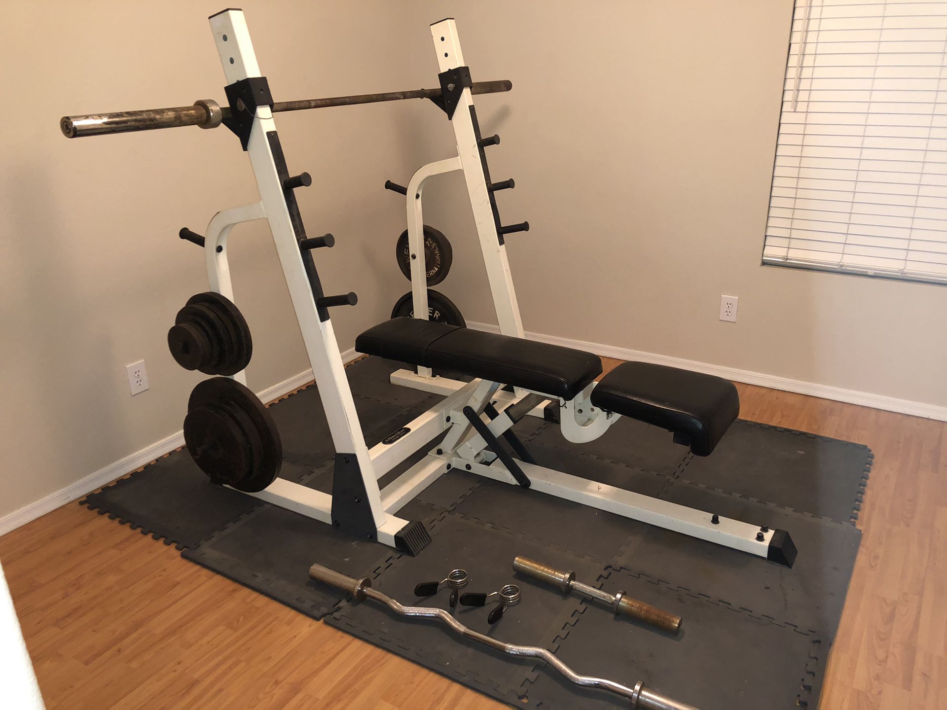 Weight bench / squat rack 325 lb plates
