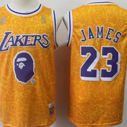 Bape LeBron Jersey (small)