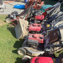 Commercial Honda Lawnmowers
