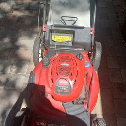 Toro Recycler 22" Self-propelled Lawnmower (PRICE Is FIRM)