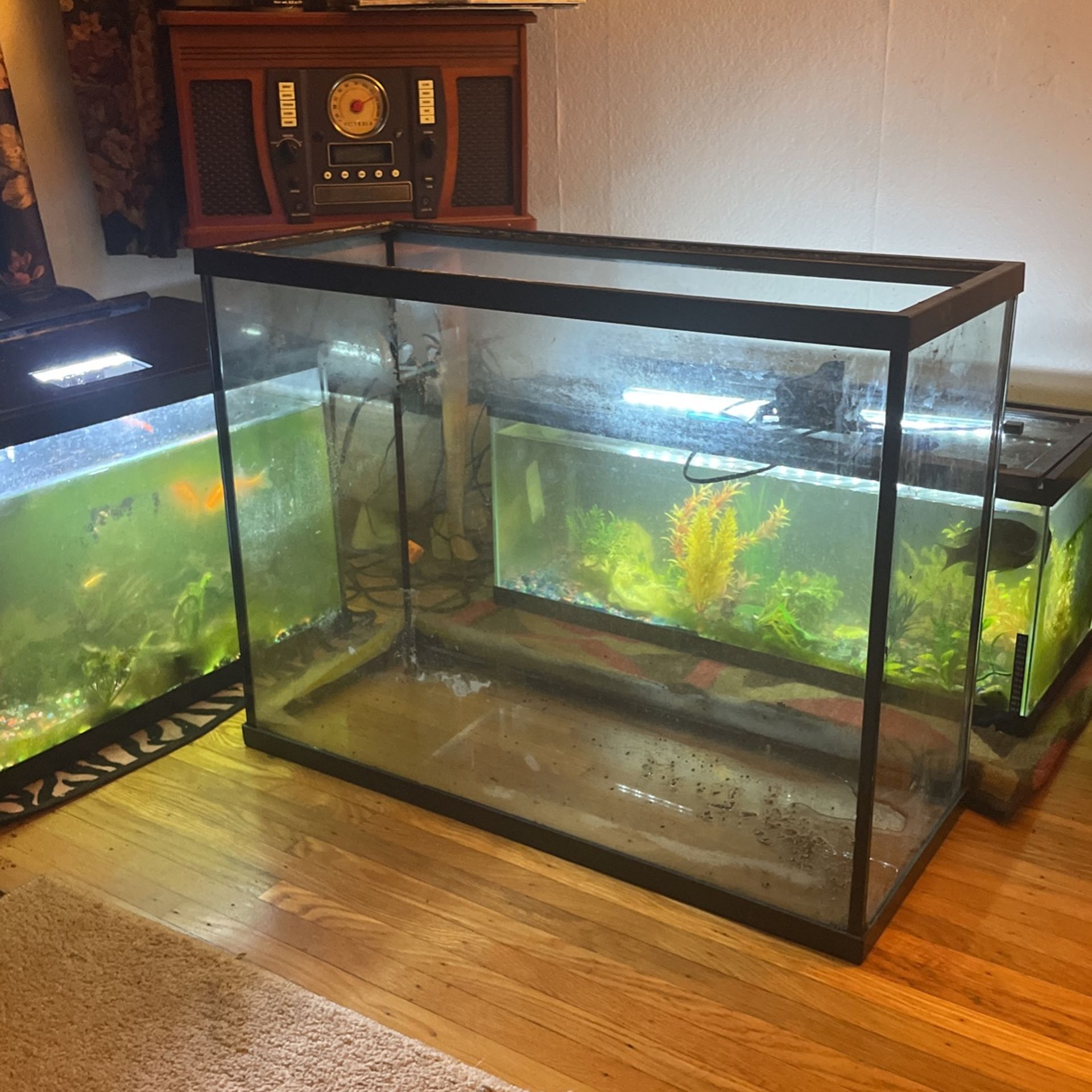 New Large Tank