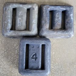 Diving Weights 