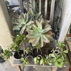 Huge Garage Sale! ⚠️⚠️⚠️