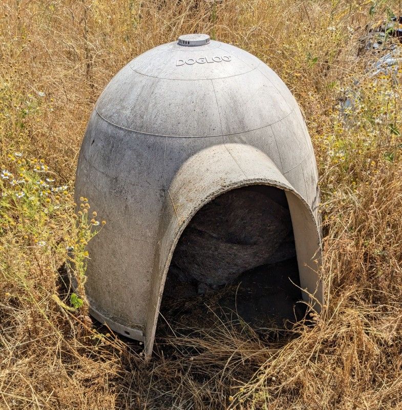 Dogloo dog house