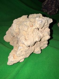 Live rock for fish tank