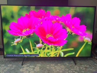 Sony  TV- 65" Class X75CH Series LED 4K UHD Smart Android TV