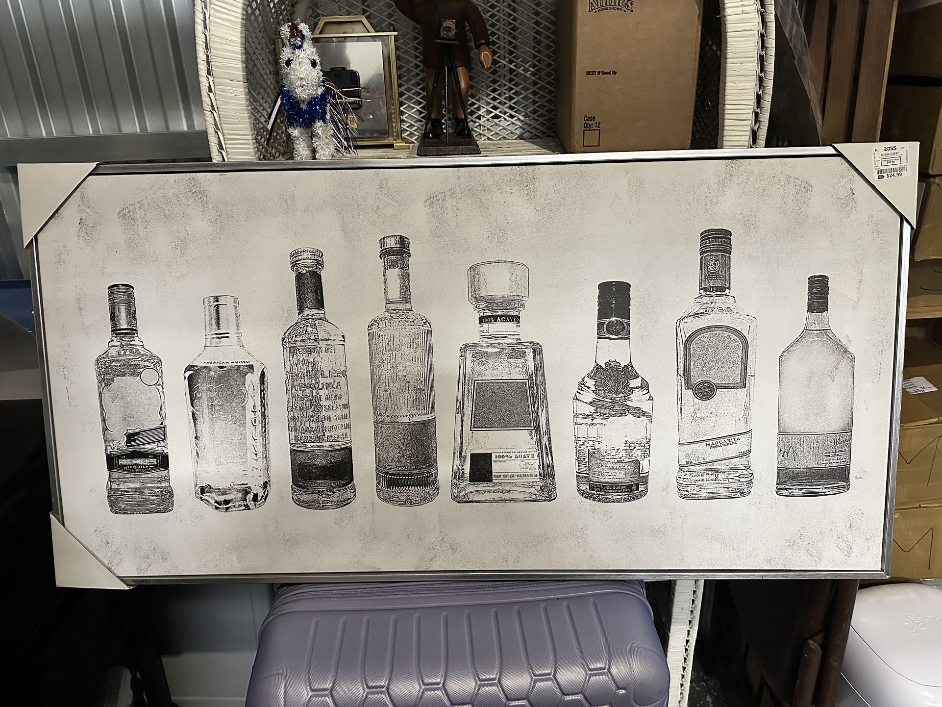 40x19.5 Canvas Print With Silver Frame