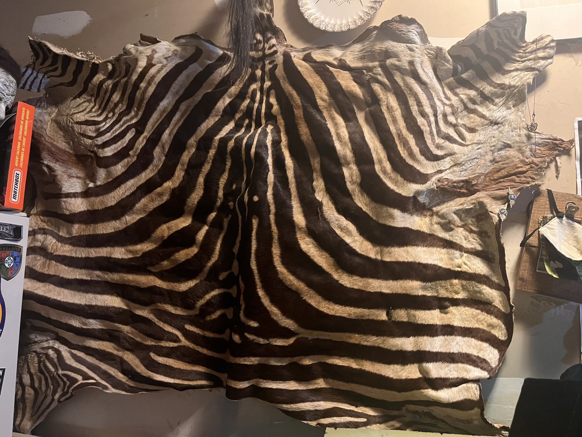 Zebra Hive