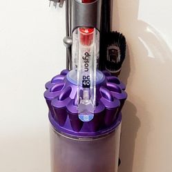 Dyson DC40 Upright Multi-Floor Vacuum Cleaner