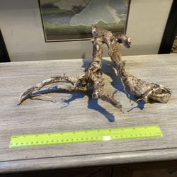 Reptile/Aquarium Decor 