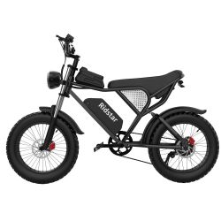 Electric bike