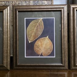 Picture Frame Natural Art Collection Set Of 3 ( 27.5" X 23.5") 