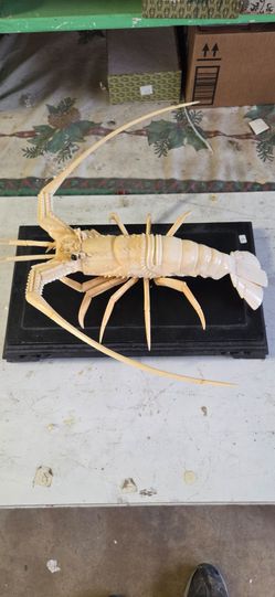 Sculpture hand carved life-size yak bone lobster