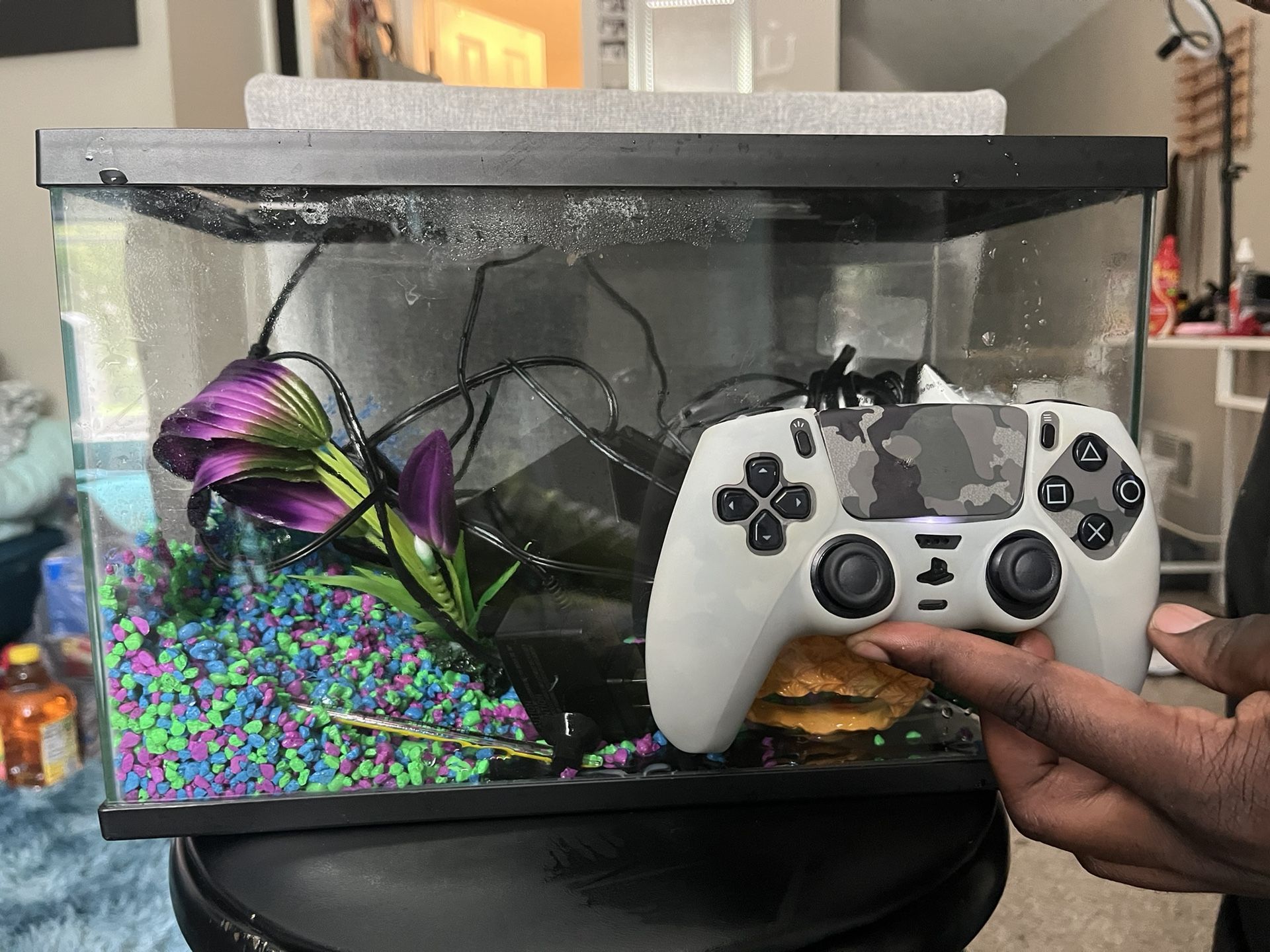 Fish Tank