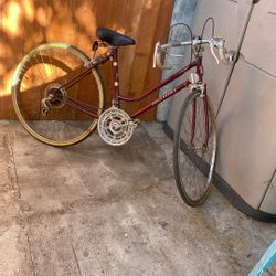 Nishiki Vintage Bike $155