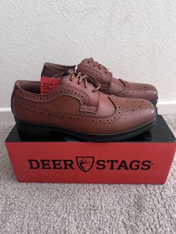 Boy Oxford Shoes - Brand New - Size 2