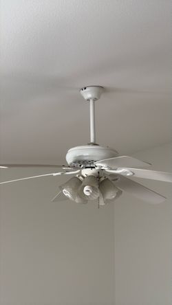 Ceiling Fan