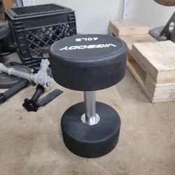 40 Pound Dumbbell 