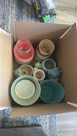 Various plant pots