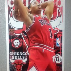 Chicago Bulls Derrick Rose Drose Fan Art Canvas Poster 