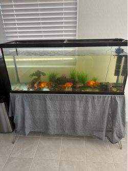 Fish tank